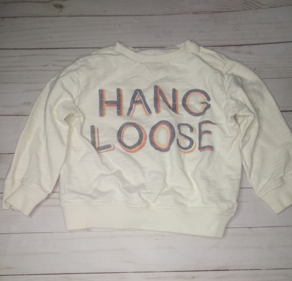 Gymboree Pull Over Sweatshirt - Picture 1 of 10
